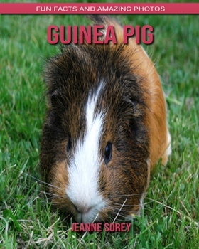 Guinea pig: Fun Facts and Amazing Photos