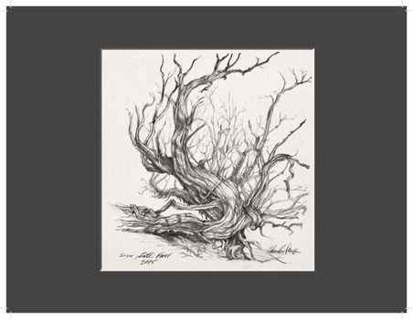 Hardcover Charles Parson Drawing Book