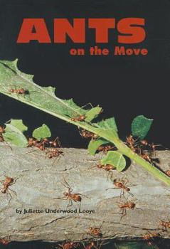 Comprehension Power Readers Ants on the Move Grade Four 2004c