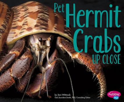 Paperback Pet Hermit Crabs Up Close Book