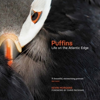 Hardcover Puffins: Life on the Atlantic Edge Book