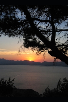 Paperback Dreams of Tomorrow: Timeless Family Book