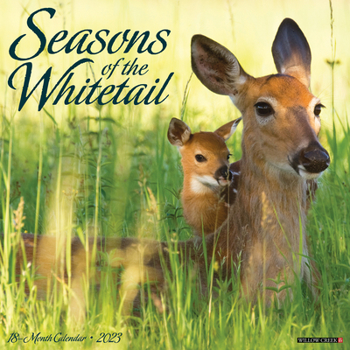 Calendar Seasons of the Whitetail 2023 Wall Calendar Book