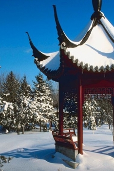 2020 Daily Planner Winter Theme Snow Covered Pagoda 388 Pages: 2020 Planners Calendars Organizers Datebooks Appointment Books Agendas