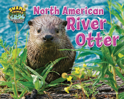 North American River Otter - Book  of the Swamp Things: Animal Life in a Wetland