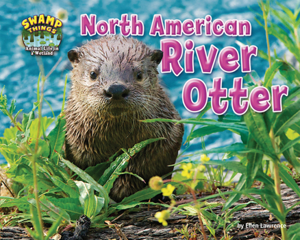 Paperback North American River Otter Book