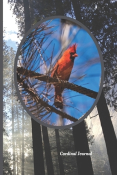 Cardinal Journal: Visitor From Heaven