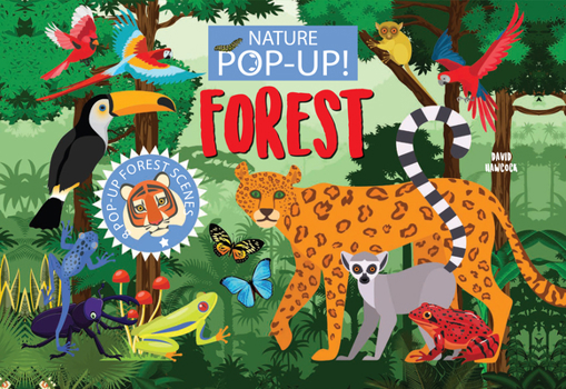 Hardcover Nature Pop-Up! Forests: 8 Pop-Up Forest Scenes Book