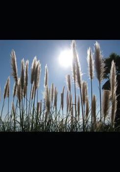 Paperback Songs From The Ordinary Book