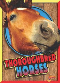 Paperback Thoroughbred Horses Book