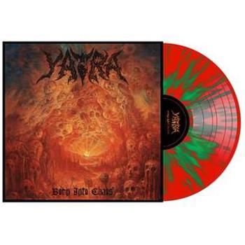 Vinyl Born Into Chaos Book