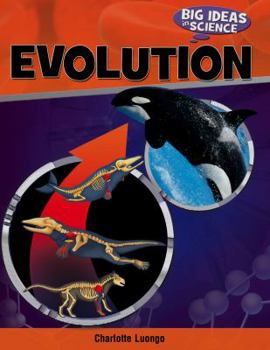 Library Binding Evolution Book