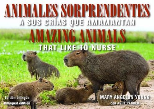 Paperback Animales Sorprendentes / Amazing Animals: Que Amamantan a Sus Crias / That Like to Nurse Book