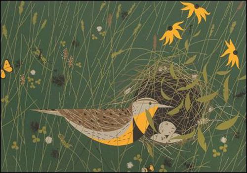 Misc. Supplies Notecards-Charley Harper-10pk [With Envelope] Book