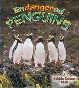 Paperback Endangered Penguins Book