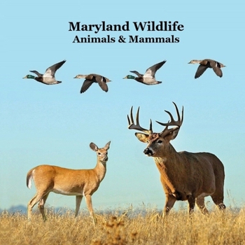 Maryland Animals and Mammals Kids Wildlife Book: Great Wildlife Book about Animals and Mammals in Maryland