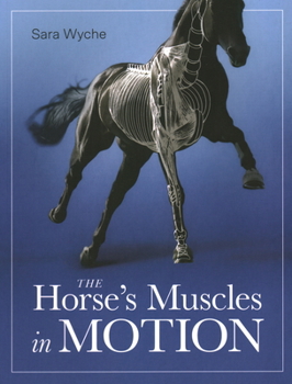 Paperback Horse's Muscles in Motion Book