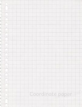 Coordinate paper: Quad Rule graph paper,8.5 x 11 (5x5 graph paper) 100 pages