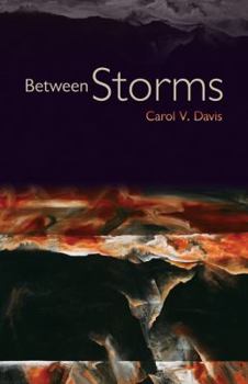 Paperback Between Storms Book