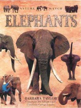 Hardcover Elephants (Nature Watch) Book