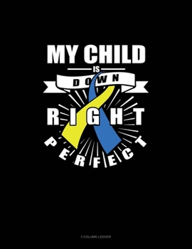 My Child Is Down Right Perfect: 3 Column Ledger