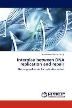 Paperback Interplay between DNA replication and repair Book