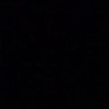 Vinyl CYPRESS AVE. Book