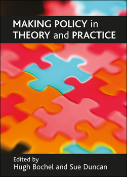 Paperback Making Policy in Theory and Practice Book