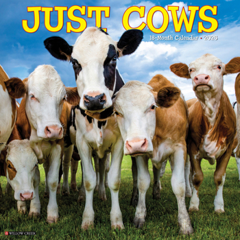 Calendar Just Cows 2025 12 X 12 Wall Calendar Book