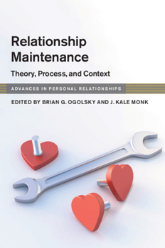 Paperback Relationship Maintenance: Theory, Process, and Context Book