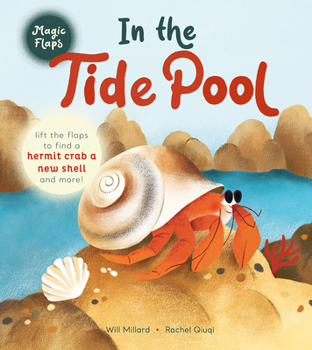 Board book In the Tide Pool: A Magic Flaps Book