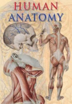 Hardcover Human Anatomy Book