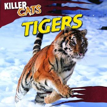 Tigers - Book  of the Killer Cats