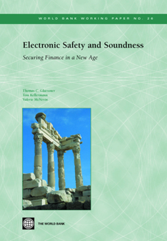 Paperback Electronic Safety and Soundness: Securing Finance in a New Age Book