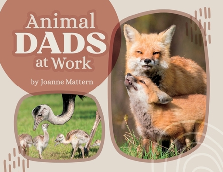 Paperback Animal Dads at Work Book