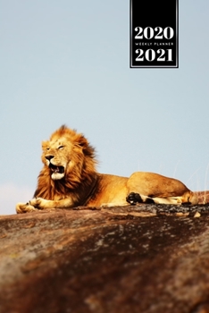 Lion Week Planner Weekly Organizer Calendar 2020 / 2021 - Relax on Stone: Cute Wildlife Animal Pet Bullet Journal Notebook Diary in 6” x 9” Inch Pocket Size
