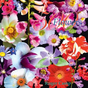 Hardcover 500 Flowers: A Celebration of the Natural World Book