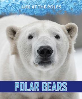 Paperback Polar Bears Book