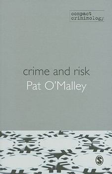 Paperback Crime and Risk Book