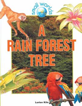 A Rain Forest Tree - Book  of the Small Worlds