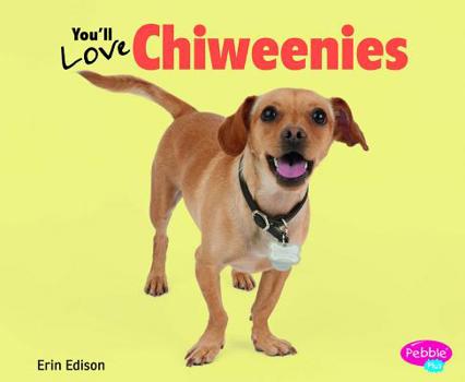 Hardcover You'll Love Chiweenies Book