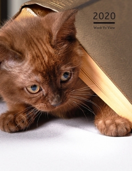 2020 A4 Diary Week To View Planner For All Occasions: | Year Planner For Business, Office, Home, University, College, School, Appointments, Organizer.