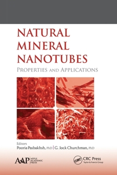 Paperback Natural Mineral Nanotubes: Properties and Applications Book