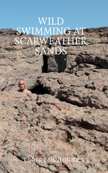 Paperback Wild Swimming at Scarweather Sands Book