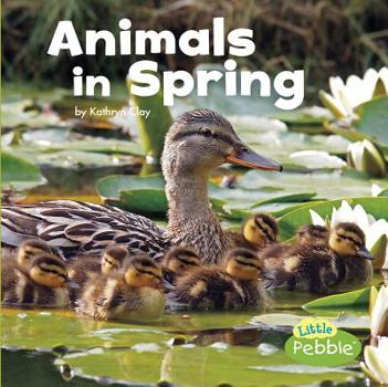 Hardcover Animals in Spring Book