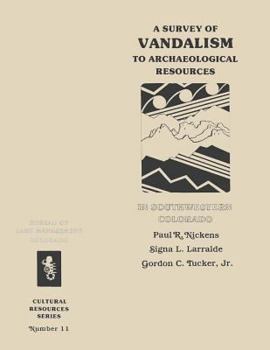 Paperback A Survey of Vandalism to Archaeological Resources in Southwestern Colorado Book