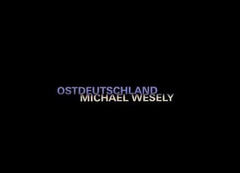 Hardcover Michael Wesley: Ostdeutschland Book