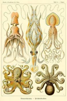 Paperback Haeckel Squid Octopus Marine Biology: Cephalopod Science Illustration Notebook - Lined 120 Pages 6x9 Journal Book