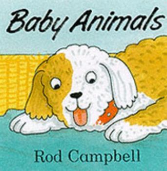 Baby Animals (Animal Block Books)