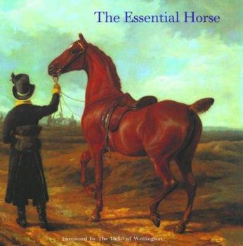 Paperback The Essential Horse Book